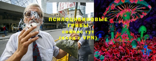 бошки Вяземский